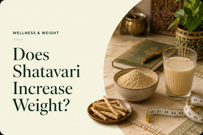Does Shatavari Increase Weight?