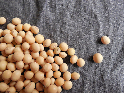 Unveiling the Truth: The Dark Side of Soy in Menopausal Transition