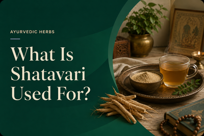What Is Shatavari Used For?